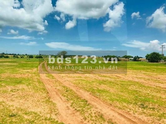 Sang nhượng 1ha đất giá rẻ, sẵn sổ