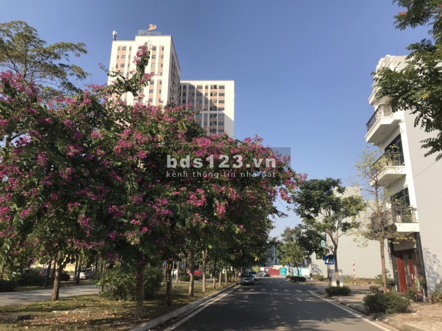 Bán đất giá rẻ tại thành phố Bắc Giang