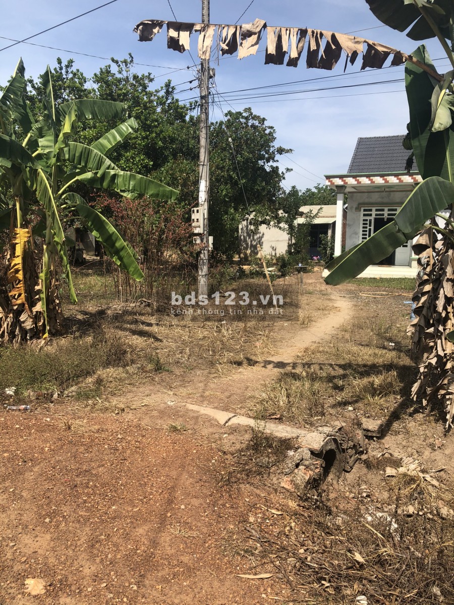 Cần tiền nên muốn bán đất 1800m2 tặng nhà 65m2, sẵn sổ