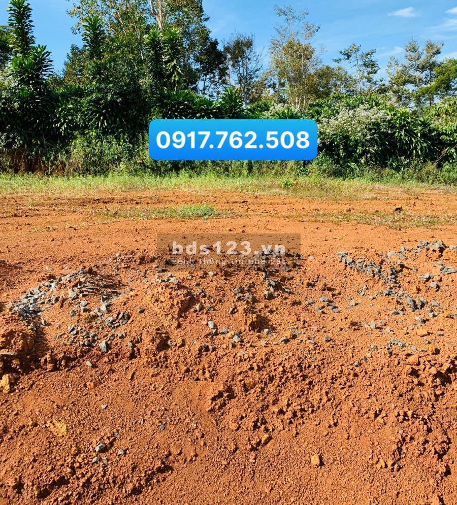 Chính chủ cần bán nhanh lô đất 210m2 Full Thổ Cư chỉ 700 Triệu