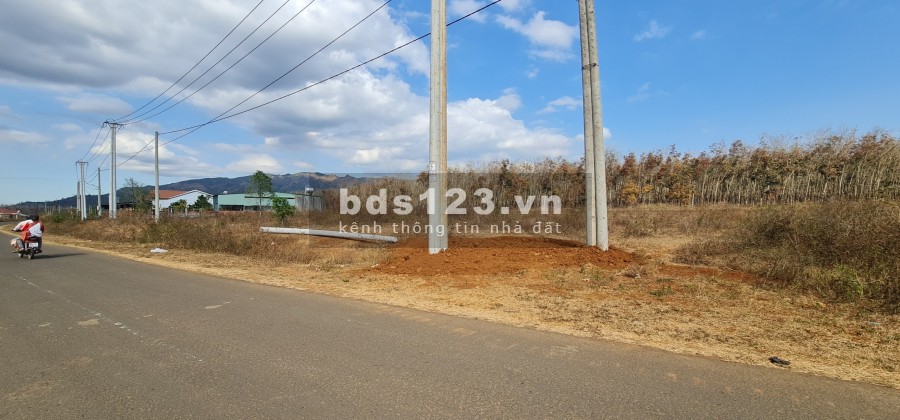 Đất nền thị trấn Phú Hòa tâm điểm đầu tư thịnh vượng dịp cuối năm