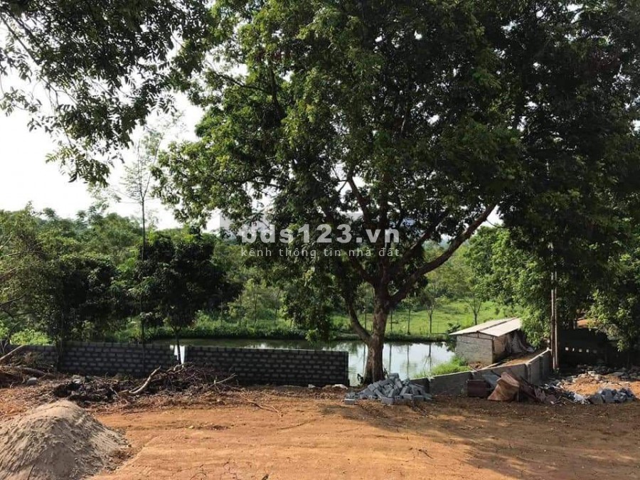 CHỦ GỬI BÁN NHANH LÔ ĐẤT ĐẸP GIÁ QUÁ RẺ TẠI LƯƠNG SƠN HÒA BÌNH
