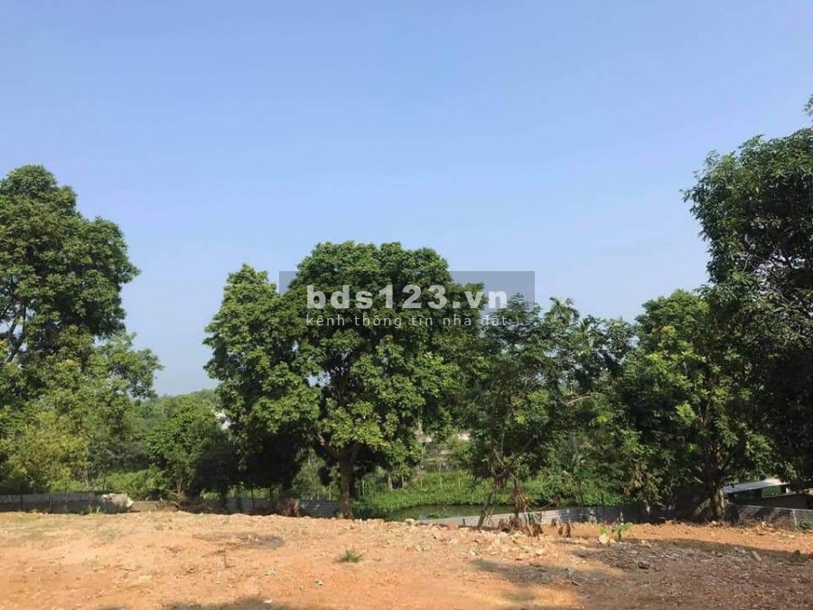 CHỦ GỬI BÁN NHANH LÔ ĐẤT ĐẸP GIÁ QUÁ RẺ TẠI LƯƠNG SƠN HÒA BÌNH