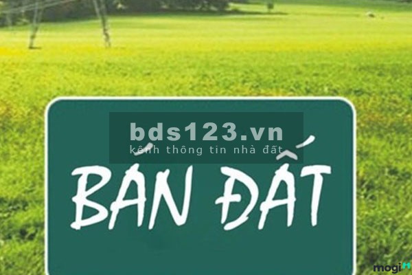 Đất xưởng tại Kim Thành, Hải Dương