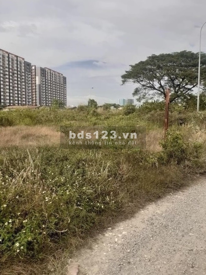 ĐẤT Đường Hoàng Hữu Nam, gần Bx miền đông mới