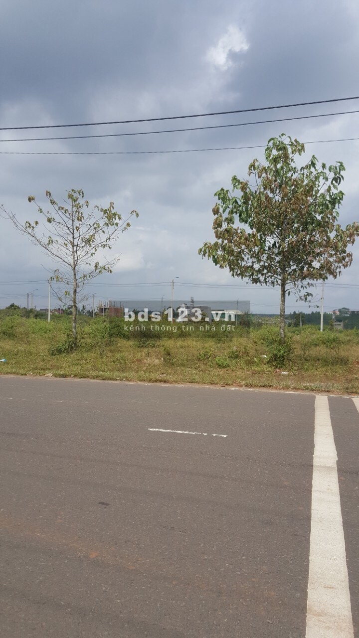 Nam Phương City - khu đất Vàng trung tâm Bảo Lộc