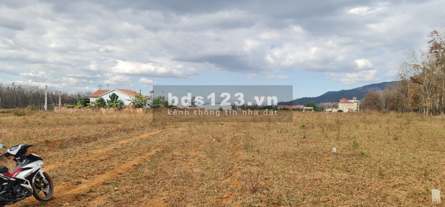 Đất nền Gia Lai, Phú Hòa - Tâm điểm đầu tư 2021