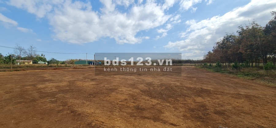 Ra nhanh lô đất tại thị trấn Phú Hòa với 499tr/lô