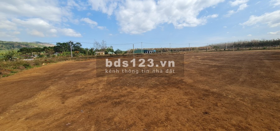 Ra nhanh lô đất tại thị trấn Phú Hòa với 499tr/lô