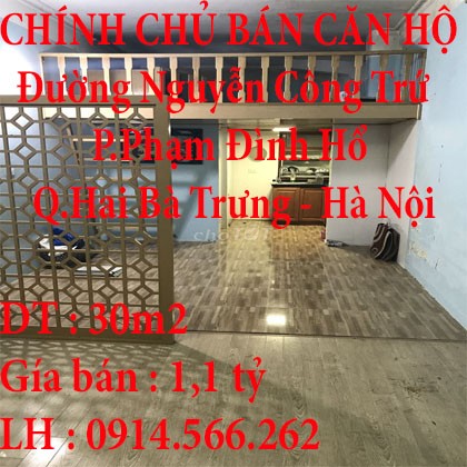 CHÍNH CHỦ BÁN CĂN HỘ 30M2 Ở PHẠM ĐÌNH HỒ QUẬN HAI BÀ TRƯNG HÀ NỘI
