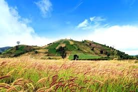 Cầm bán gấp lô đất tại trung tâm thị trấn Phú Hòa, Gia Lai