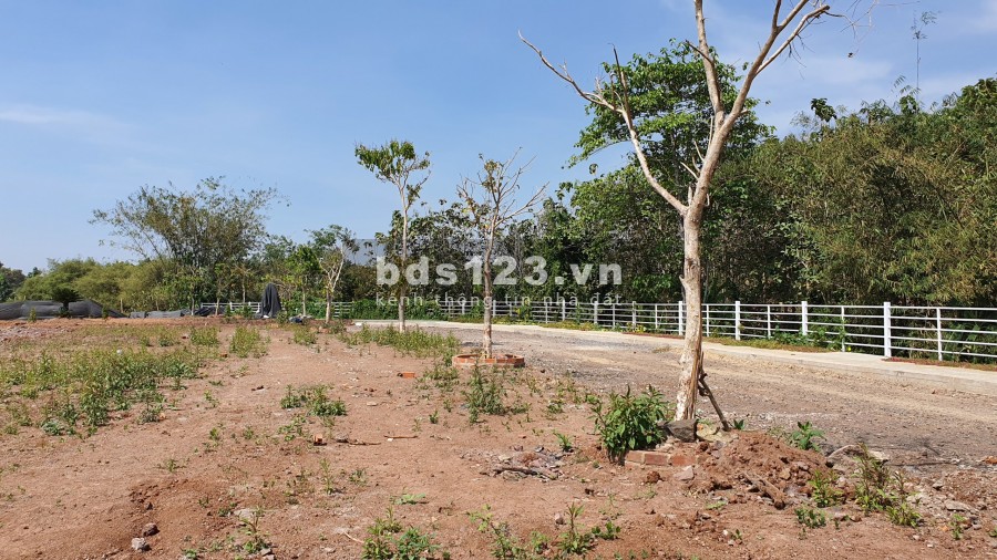 Bán đất Hưng Lộc giá rẻ, cơ hội đầu tư sinh lời cao