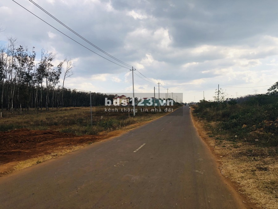 Bán đất ở đô thị kề cạnh sân bay Pleiku, Gia Lai. 499 Triệu/200m2 đường rộng 32m