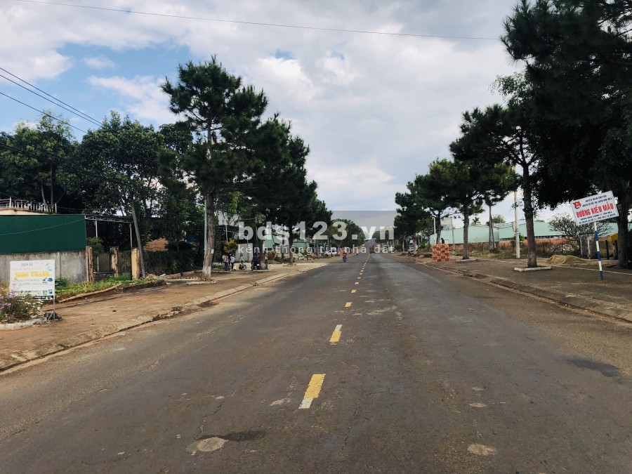 Bán đất ở đô thị kề cạnh sân bay Pleiku, Gia Lai. 499 Triệu/200m2 đường rộng 32m