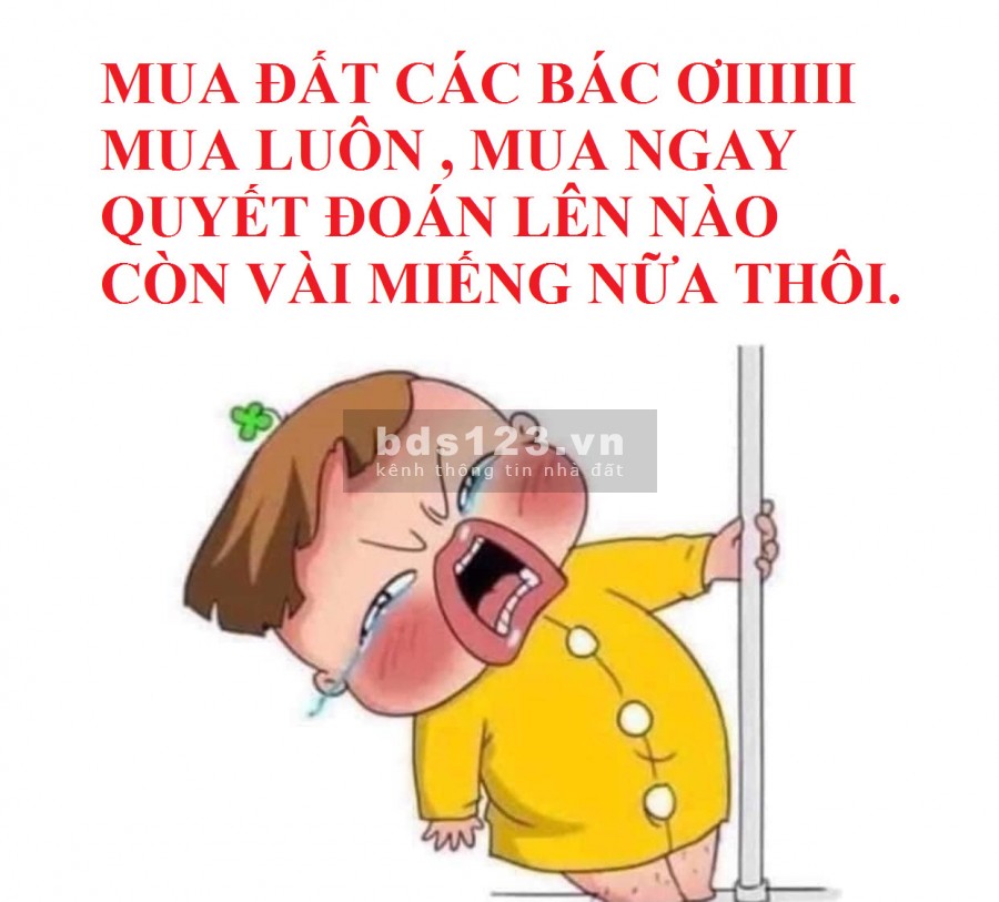 Bán đất phường 2 tại trung tâm thành phố Bảo Lộc
