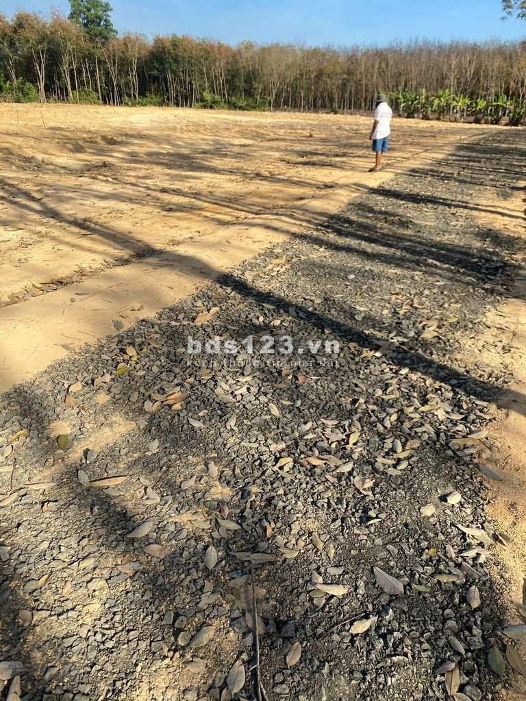 Chính chủ cần bán dự án đất nền gần trạm thu phí, Xã Đồng Tiến, Huyện Đồng Phú, Bình Phước