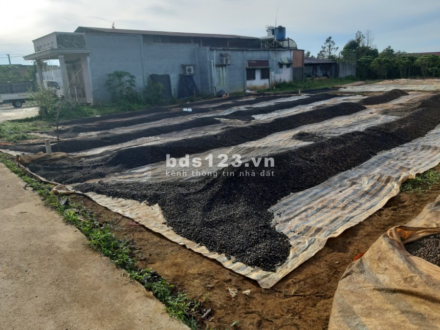 Bán đất nền dự án 21 lô mở bán 2 tuần còn 3 lô bán thu hồi vốn