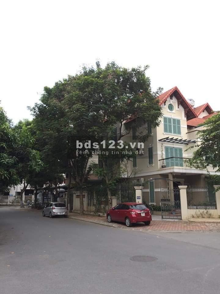 Sống Vip, Khu Đô Thị Việt Hưng Long Biên 225m2 MTx21m Lô Góc
