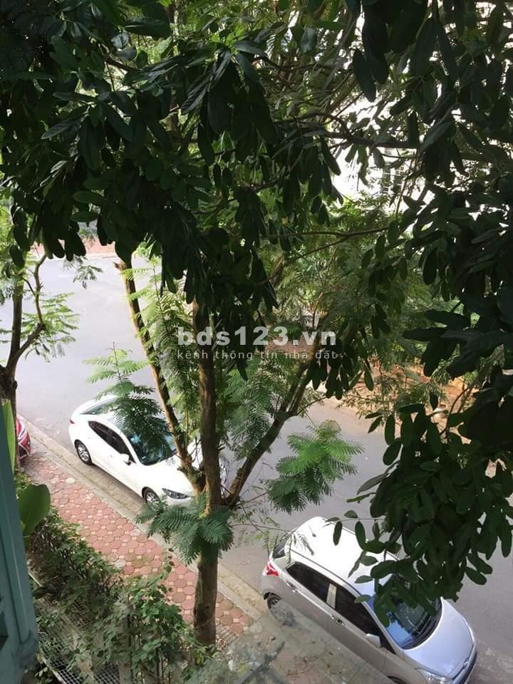Sống Vip, Khu Đô Thị Việt Hưng Long Biên 225m2 MTx21m Lô Góc