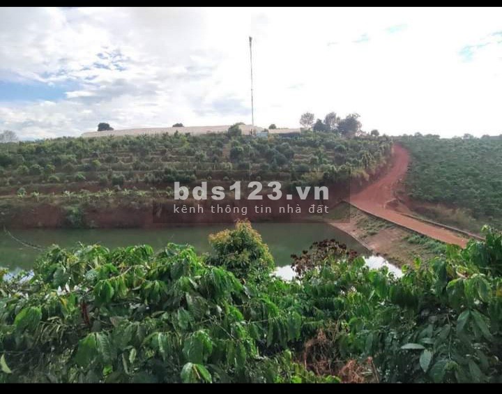 Cần bán Đất Đà Lạt Mình dự định làm Farm nhưng không đủ tiền cần nhượng lại lô đất cho AE muốn làm Farm hoặc làm du lịch.