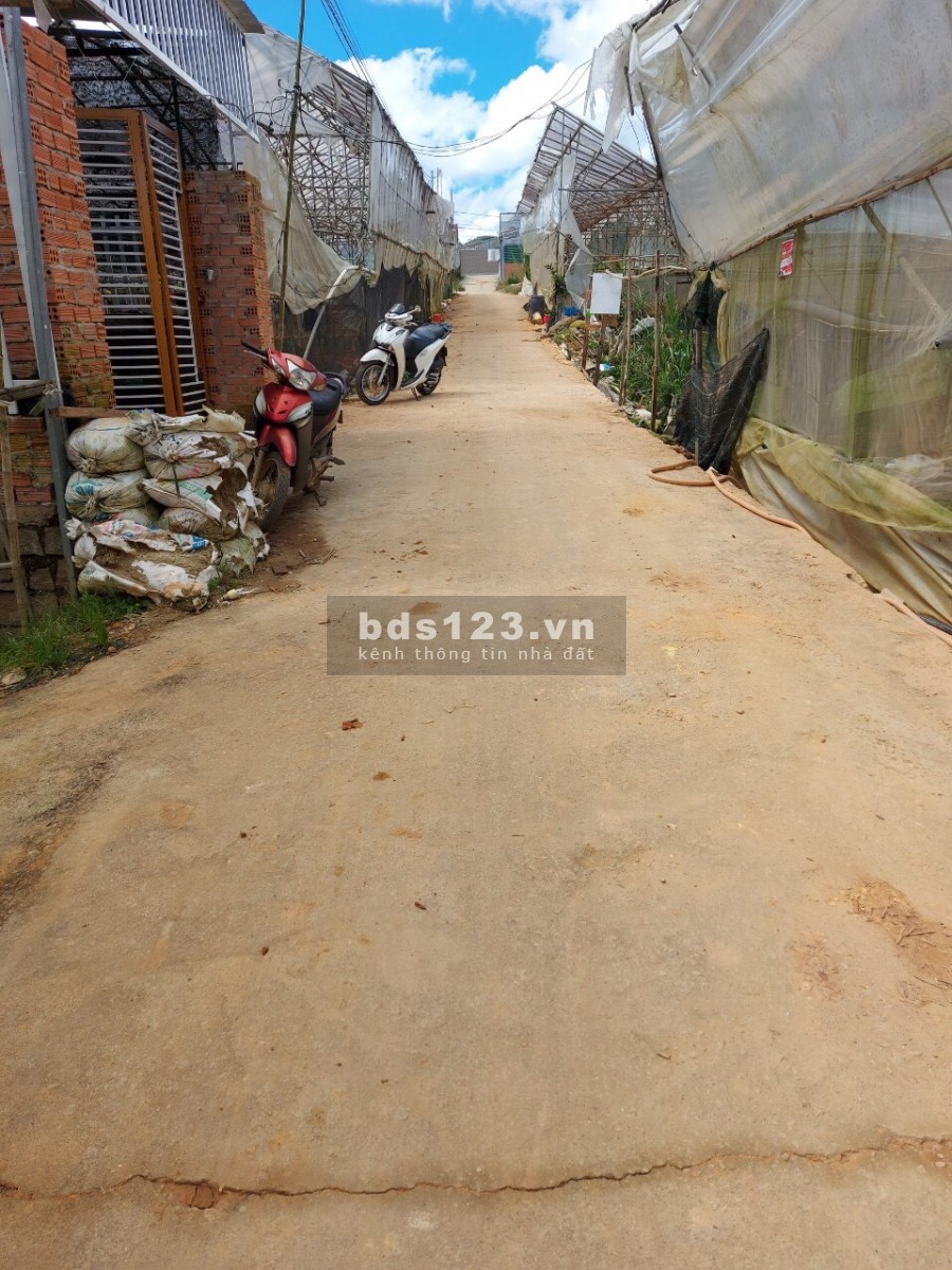 Cần Bán Đất Đà Lạt đông dân cư gần trung tâm thuận lời cho việc định cư lâu dài