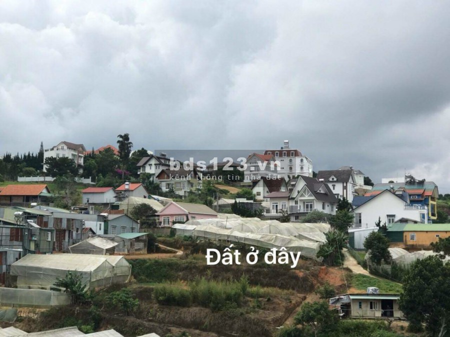 Cần bán Đất Đà lạt diện tích rộng rãi oto vô được Thích hợp làm khu nghĩ dưỡng đầu tư sinh lời
