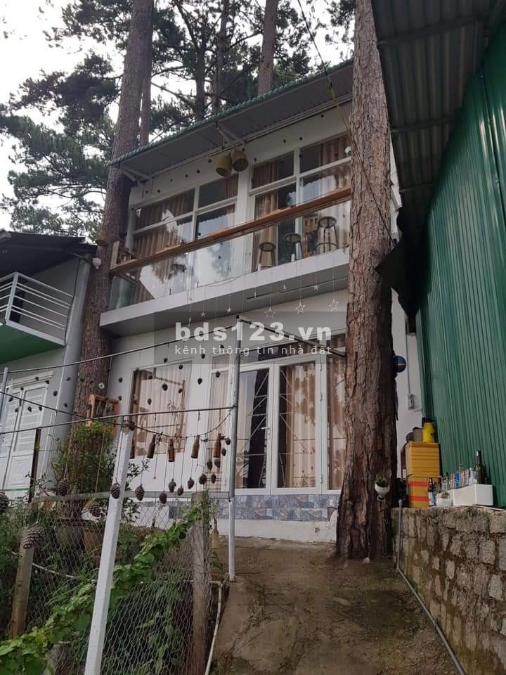 Nhà Đất Đà lạt cần bán nhà vó view rừng thông cực đẹp thích hợp làm homestay, nghĩ dưỡng hoặc dầu tư sinh lời
