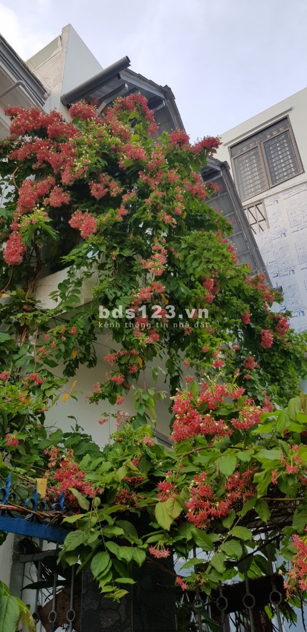 Bán nhà 63m hẻm 457 Huỳnh Tấn Phát P.Tân Thuận Đông Q7