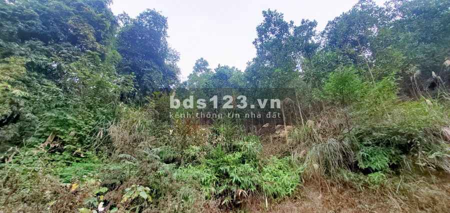 Chỉ 80.000/m2 Bán Đất Đẹp Gần Khu Công Nghiệp Yên Quang