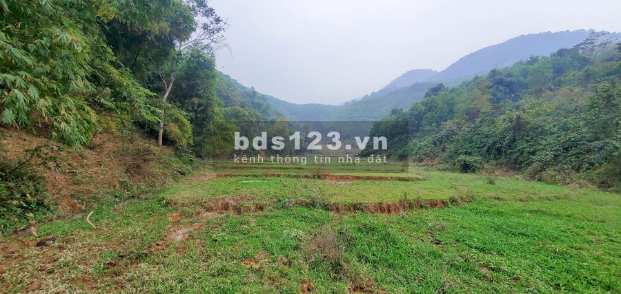 Chỉ 80.000/m2 Bán Đất Đẹp Gần Khu Công Nghiệp Yên Quang