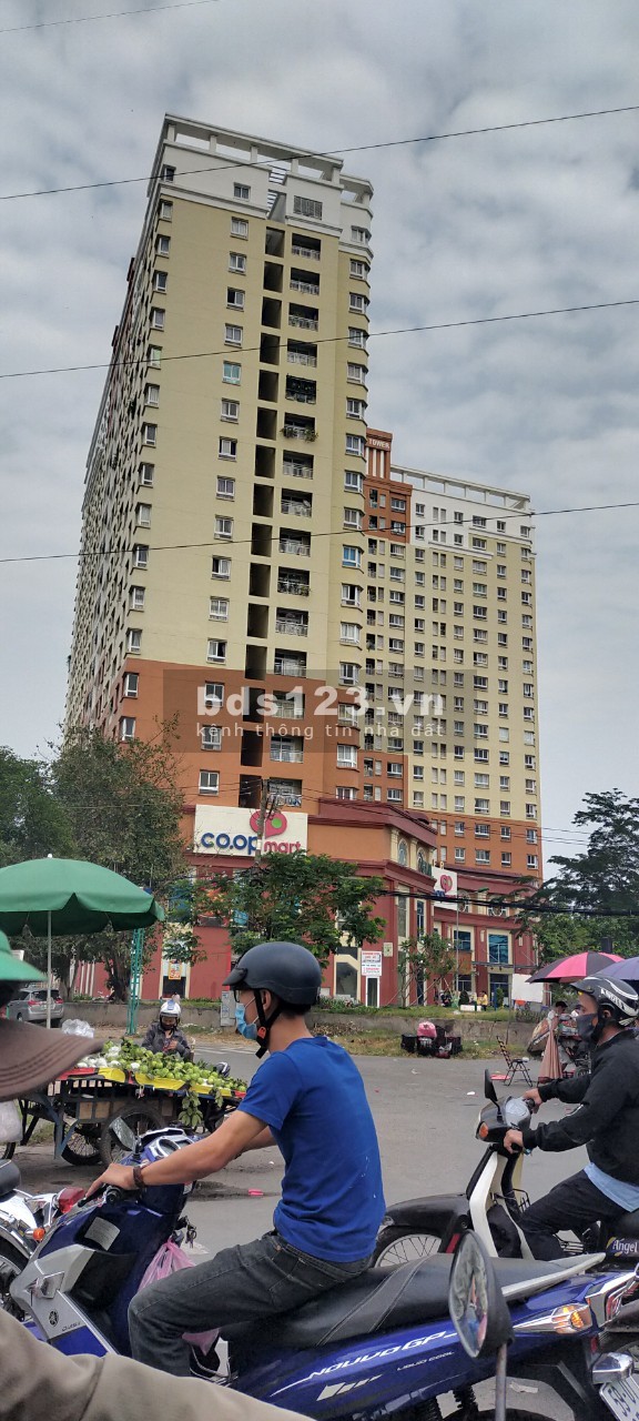 Bán Nhà Hẻm 184 Phạm Văn Hai Tân Bình Giá Rẻ, 30m2, 3 Lầu, 3 Phòng Ngủ.