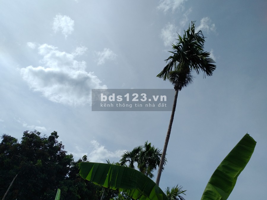 Cần bán khuôn viên nhà vườn siêu nhỏ xinh