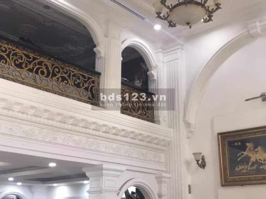 BÁN BIỆT THỰ, MẶT TIỀN, THANG MÁY, DT 160M2, CAO LỖ QUẬN 8, CHỈ 26.9 TỶ.