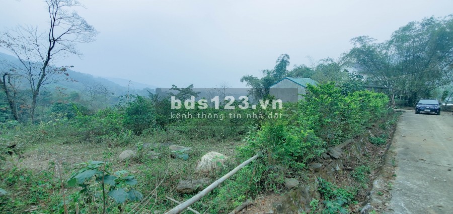Chỉ 800 Triệu/Ha – Bán Đất Đẹp Gần Khu Công Nghiệp Yên Quang