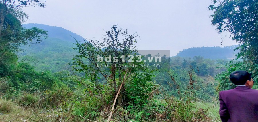 Chỉ 800 Triệu/Ha – Bán Đất Đẹp Gần Khu Công Nghiệp Yên Quang