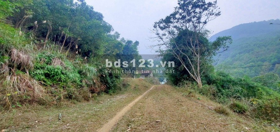 Chỉ 800 Triệu/Ha – Bán Đất Đẹp Gần Khu Công Nghiệp Yên Quang