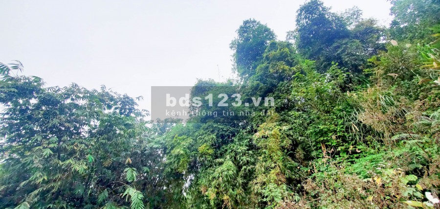 Chỉ 800 Triệu/Ha – Bán Đất Đẹp Gần Khu Công Nghiệp Yên Quang