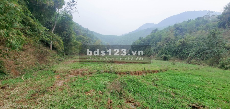 Chỉ 800 Triệu/Ha – Bán Đất Đẹp Gần Khu Công Nghiệp Yên Quang