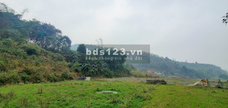 Chỉ 800 Triệu/Ha – Bán Đất Đẹp Gần Khu Công Nghiệp Yên Quang