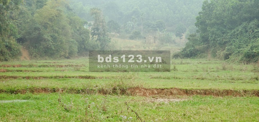 Chỉ 800 Triệu/Ha – Bán Đất Đẹp Gần Khu Công Nghiệp Yên Quang