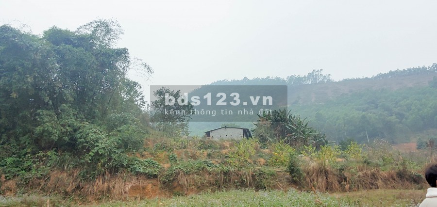 Chỉ 800 Triệu/Ha – Bán Đất Đẹp Gần Khu Công Nghiệp Yên Quang