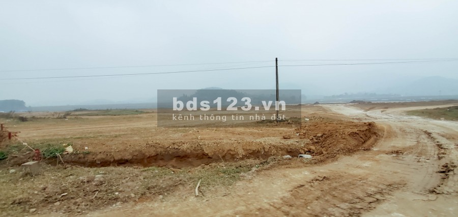 Chỉ 800 Triệu/Ha – Bán Đất Đẹp Gần Khu Công Nghiệp Yên Quang
