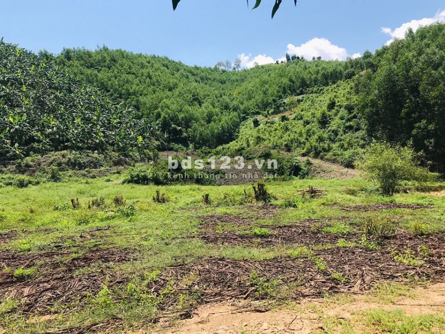 gia đình cần bán 8.000m2 có Suối chảy giưã đất giá chỉ 1 tỷ 400tr LH 0788.558.552