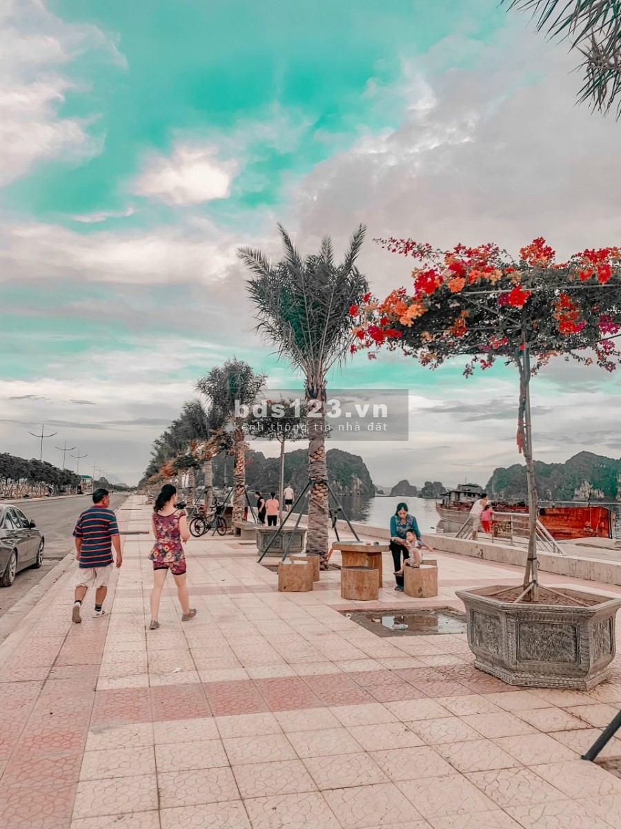 Dự án green dragon city nằm trên trục đường bao biển