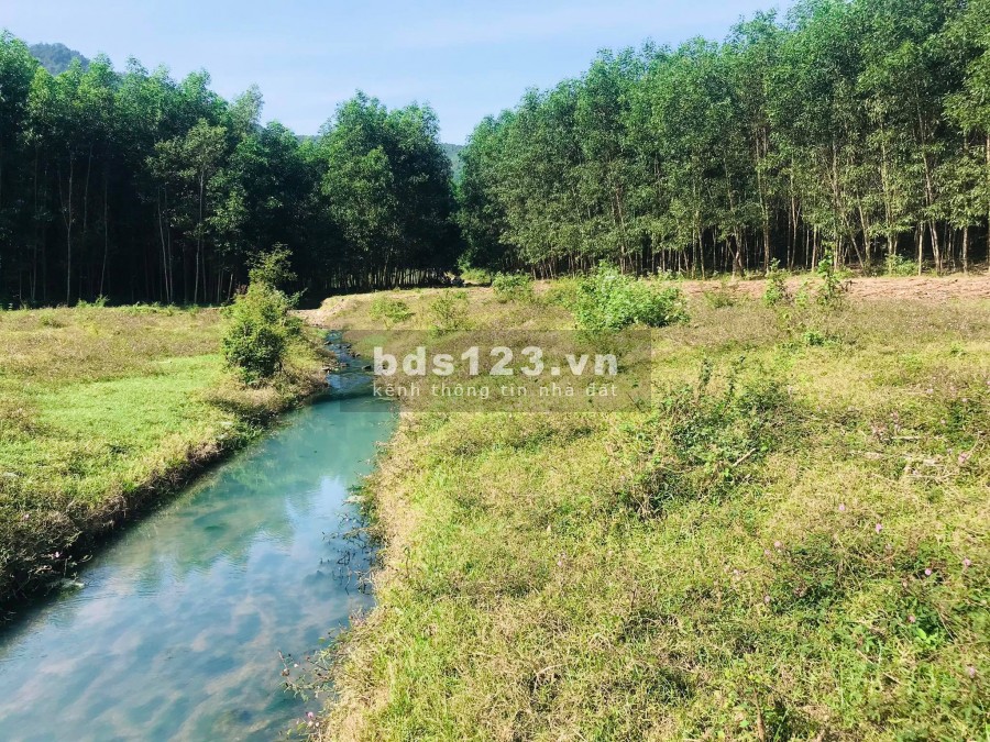gia đình cần bán 8.000m2 có Suối chảy giưã đất giá chỉ 1 tỷ 400tr LH 0788.558.552