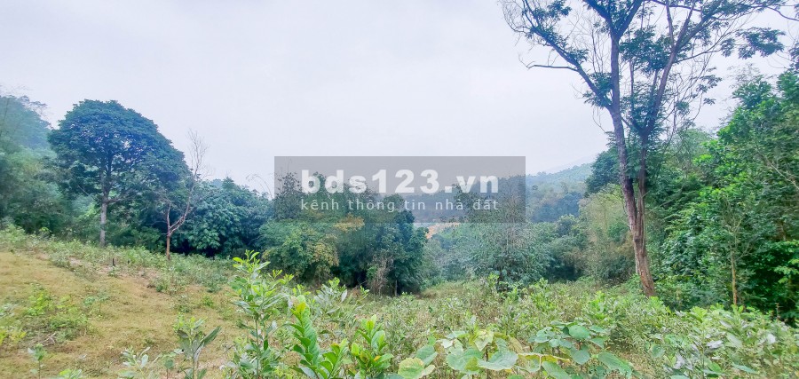 Quá Rẻ – 500tr/Ha Đất Hòa Bình Nằm Gần Đường Lớn