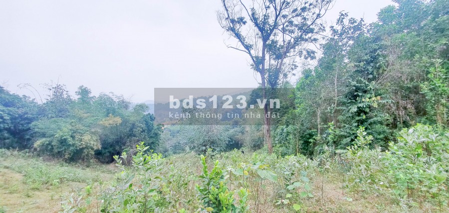 Quá Rẻ – 500tr/Ha Đất Hòa Bình Nằm Gần Đường Lớn