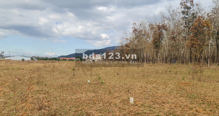 Đất Thị Trấn Phú Hòa Chư Păh Phan Đình Phùng
