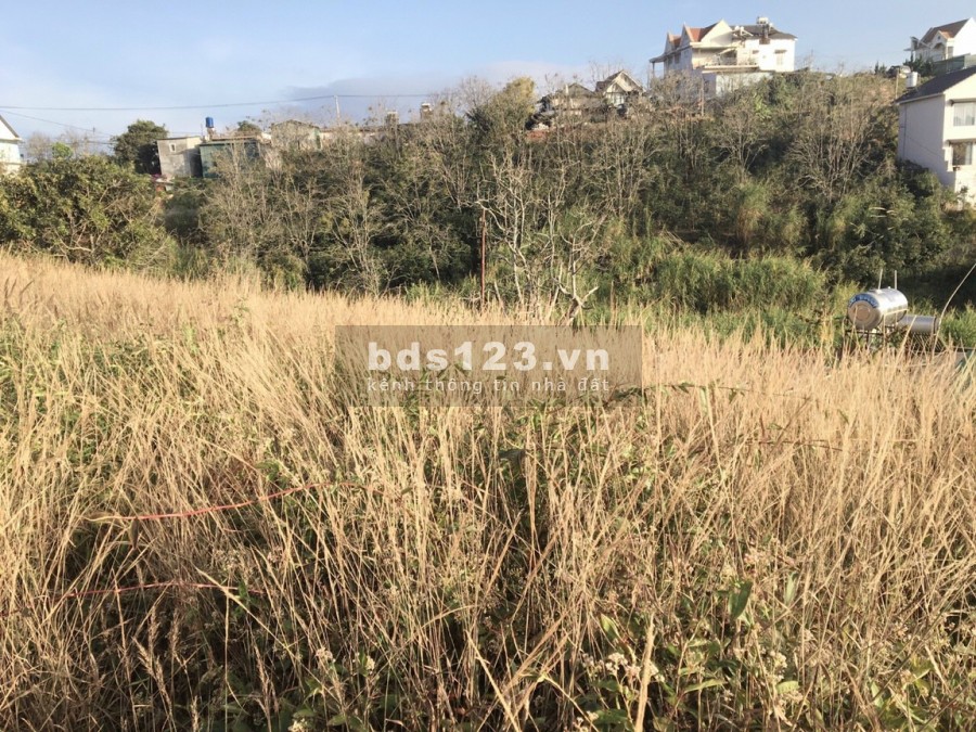 Cần bán đất đà lạt đường bê tông rộng rãi thoải mái khu tĩnh lặng thích hợp cho việc nghĩ dưỡng định cư lâu dài