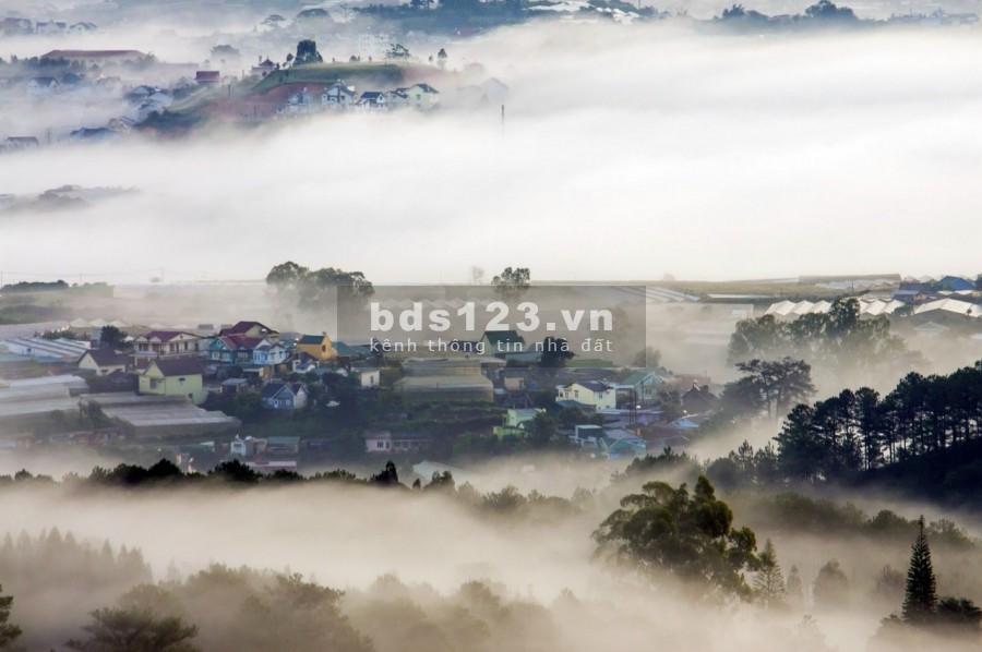 Cần bán Biệt thự Đà lạt sổ riêng xây dựng trên dỉnh đồi view ngắm thành phố săn mây cực đẹp
